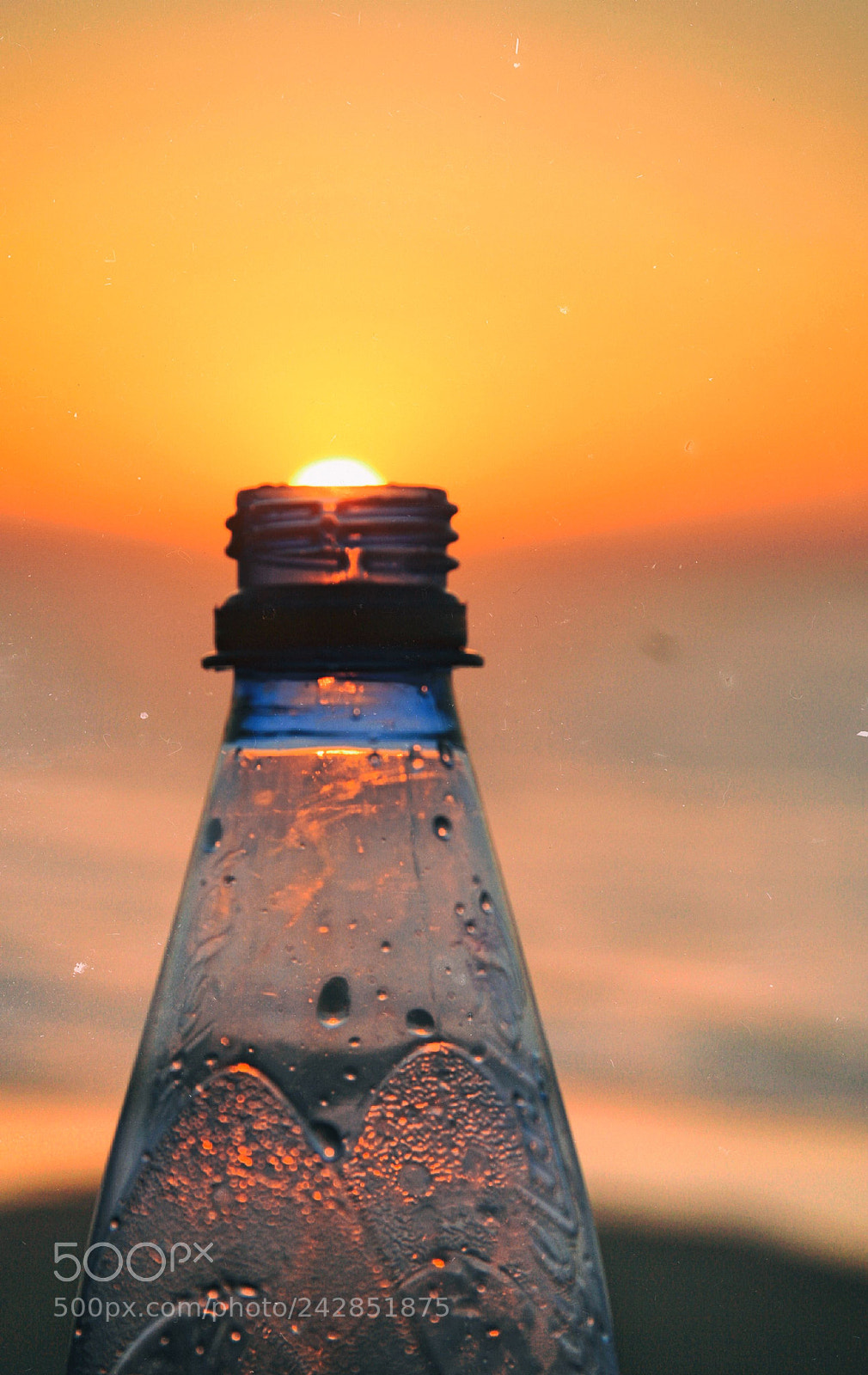 Canon EOS 400D (EOS Digital Rebel XTi / EOS Kiss Digital X) sample photo. Sun of a bottle photography