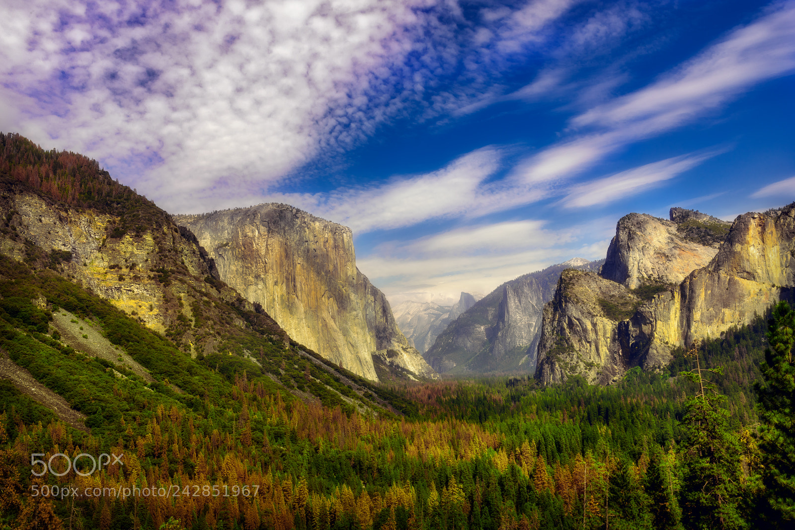 Nikon D810 sample photo. Yosemite national park photography