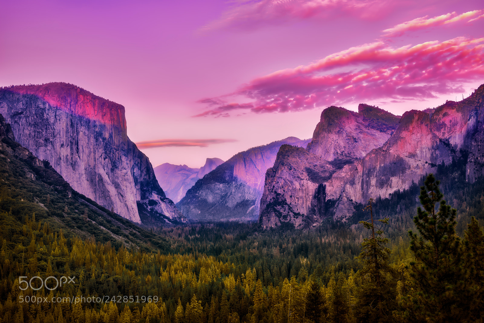 Nikon D810 sample photo. Yosemite national park photography