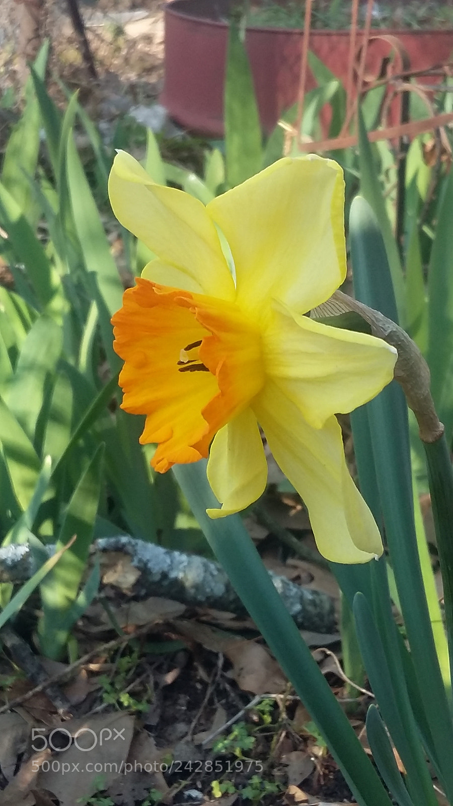 Samsung Galaxy Grand Prime sample photo. Untitled photography