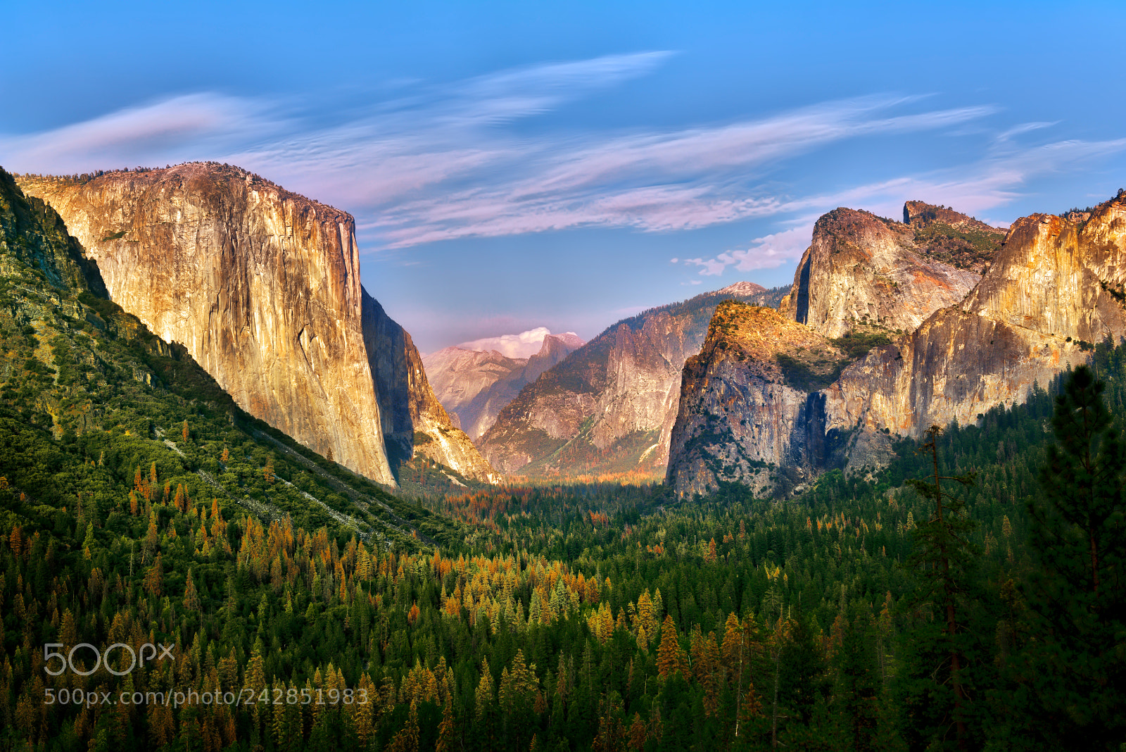 Nikon D810 sample photo. Yosemite national park photography