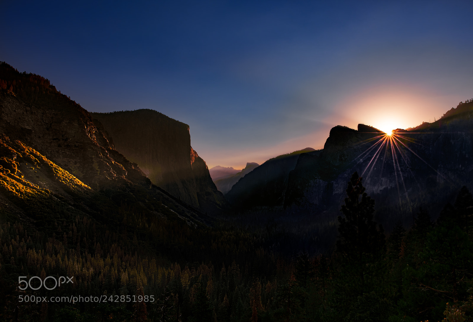 Nikon D810 sample photo. Yosemite national park photography
