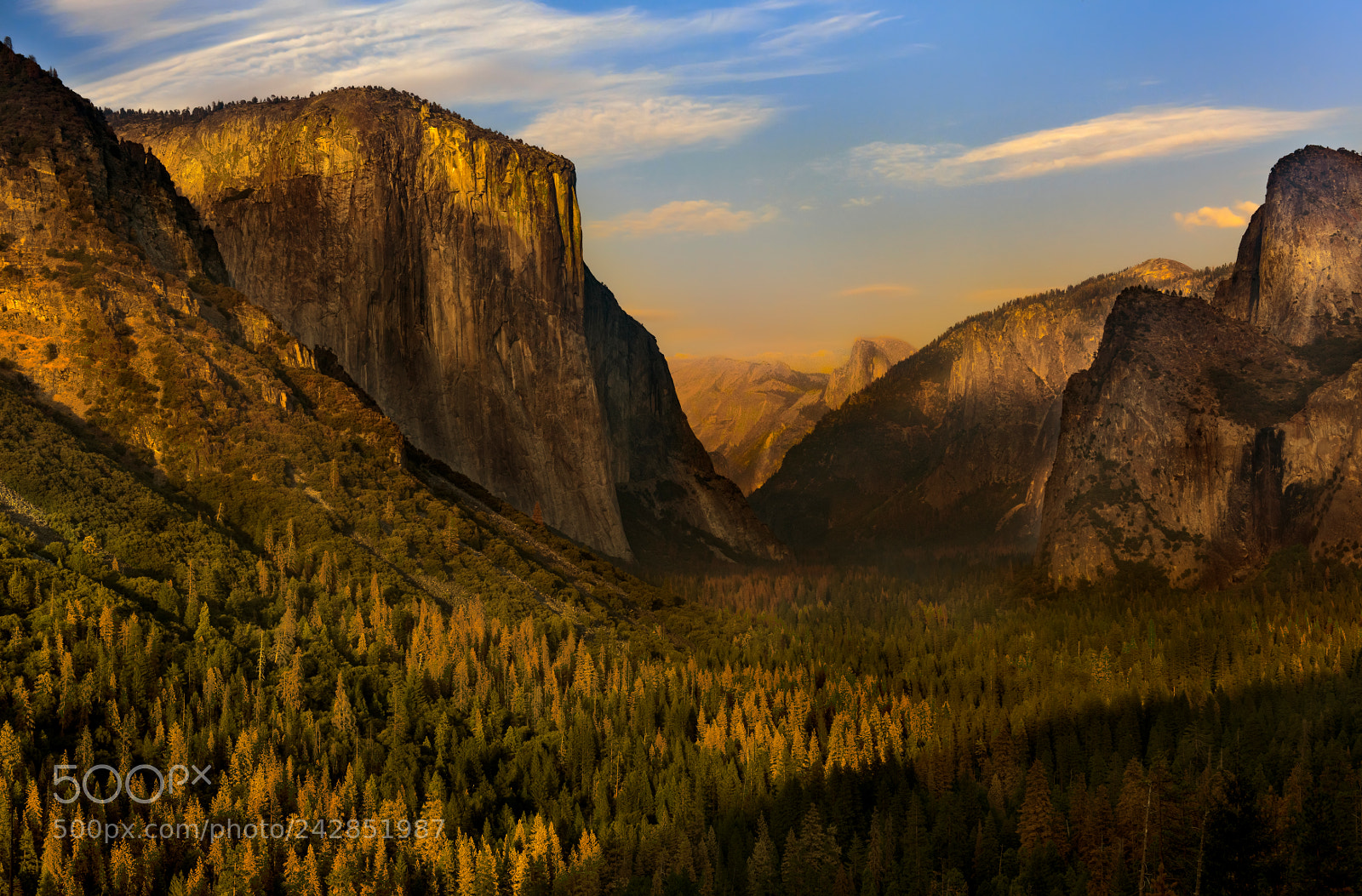 Nikon D810 sample photo. Yosemite national park photography