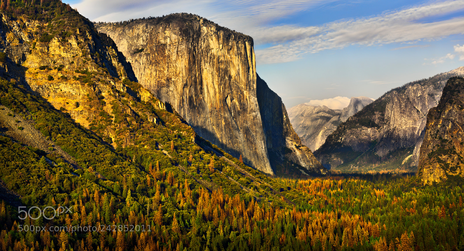 Nikon D810 sample photo. Yosemite national park photography