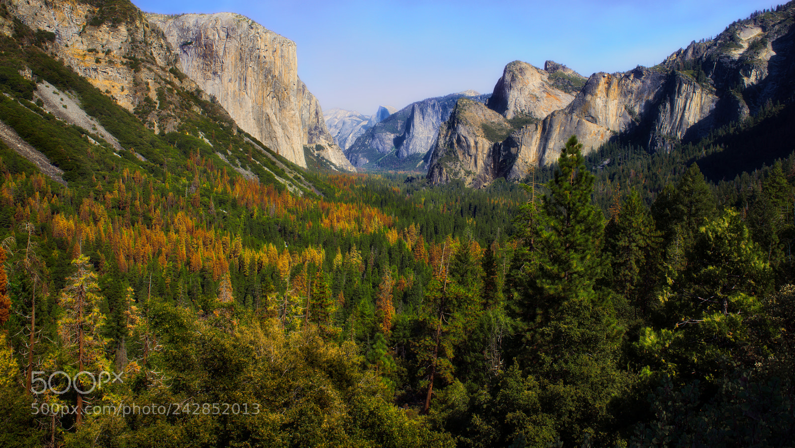 Nikon D810 sample photo. Yosemite national park photography