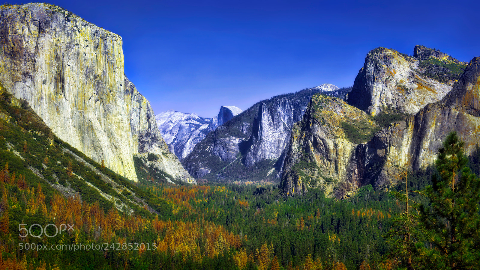 Nikon D810 sample photo. Yosemite national park photography