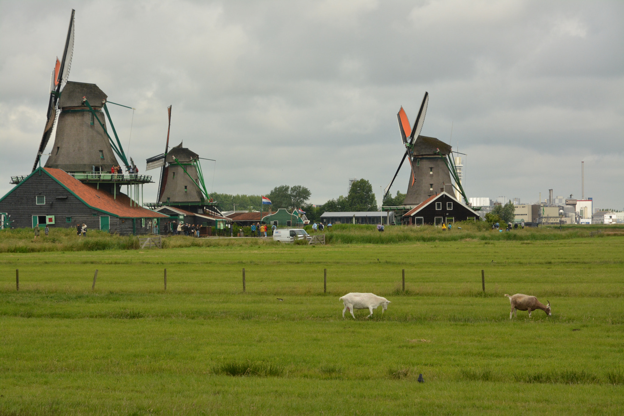 Nikon D7100 sample photo. Zaanse schans photography