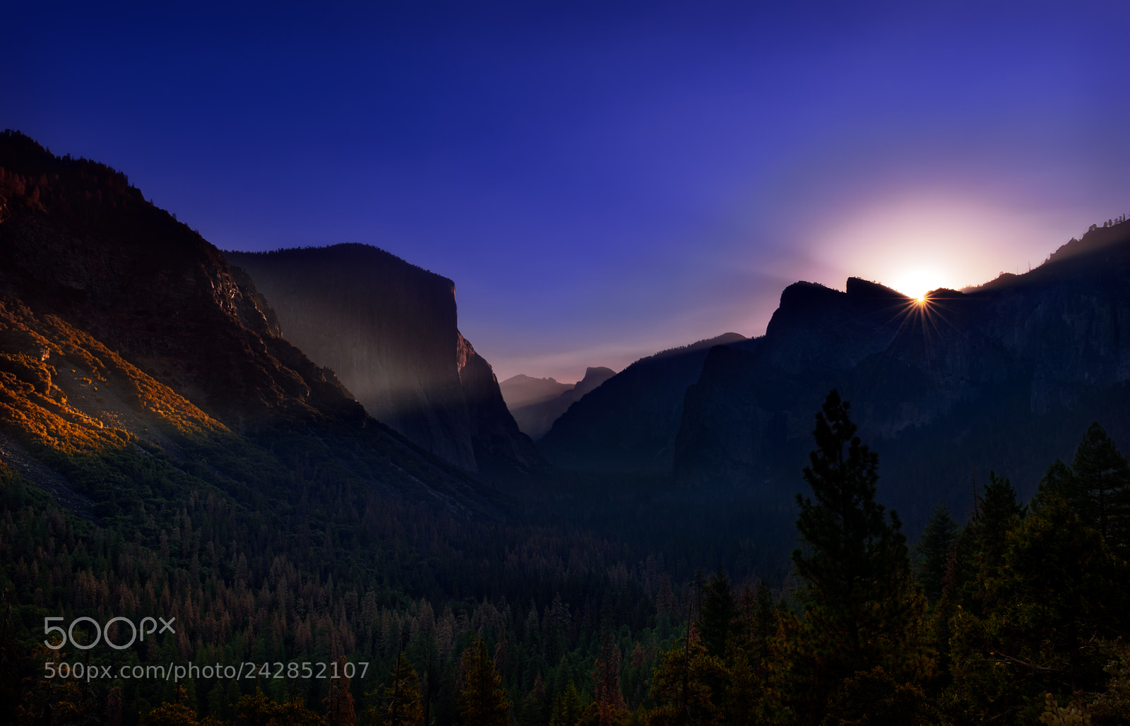 Nikon D810 sample photo. Yosemite national park photography