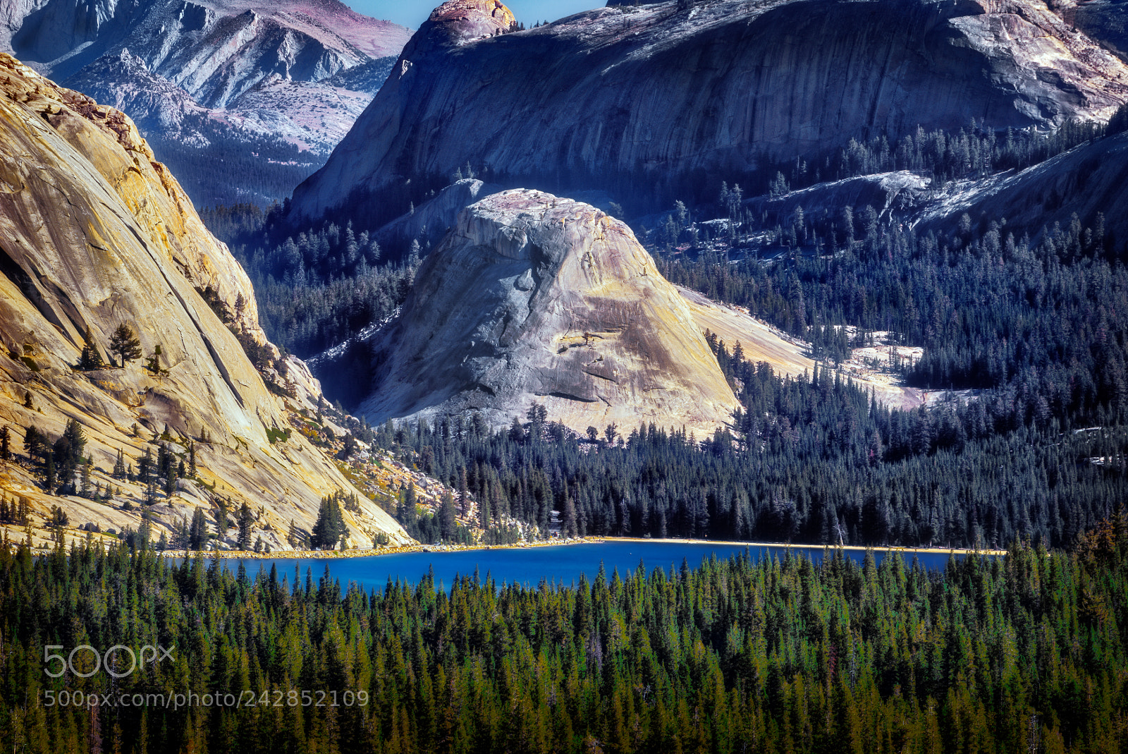 Nikon D810 sample photo. Yosemite national park photography