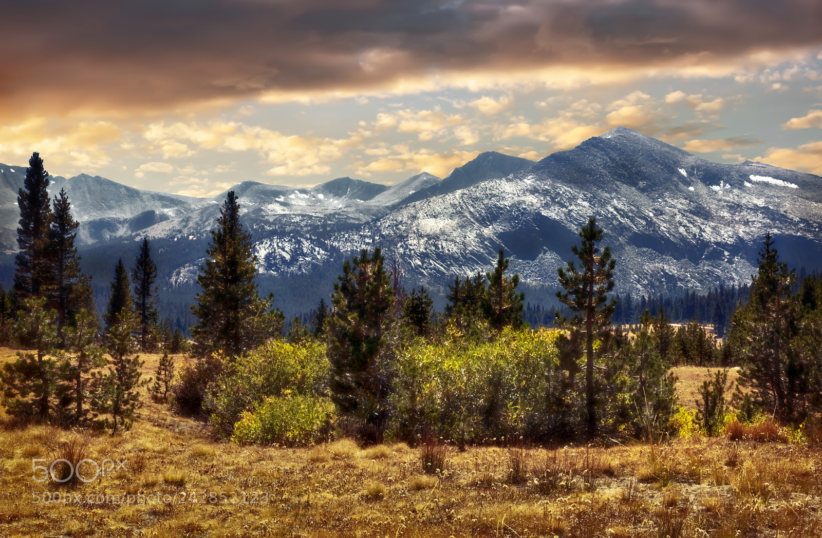 Nikon D810 sample photo. Yosemite national park photography