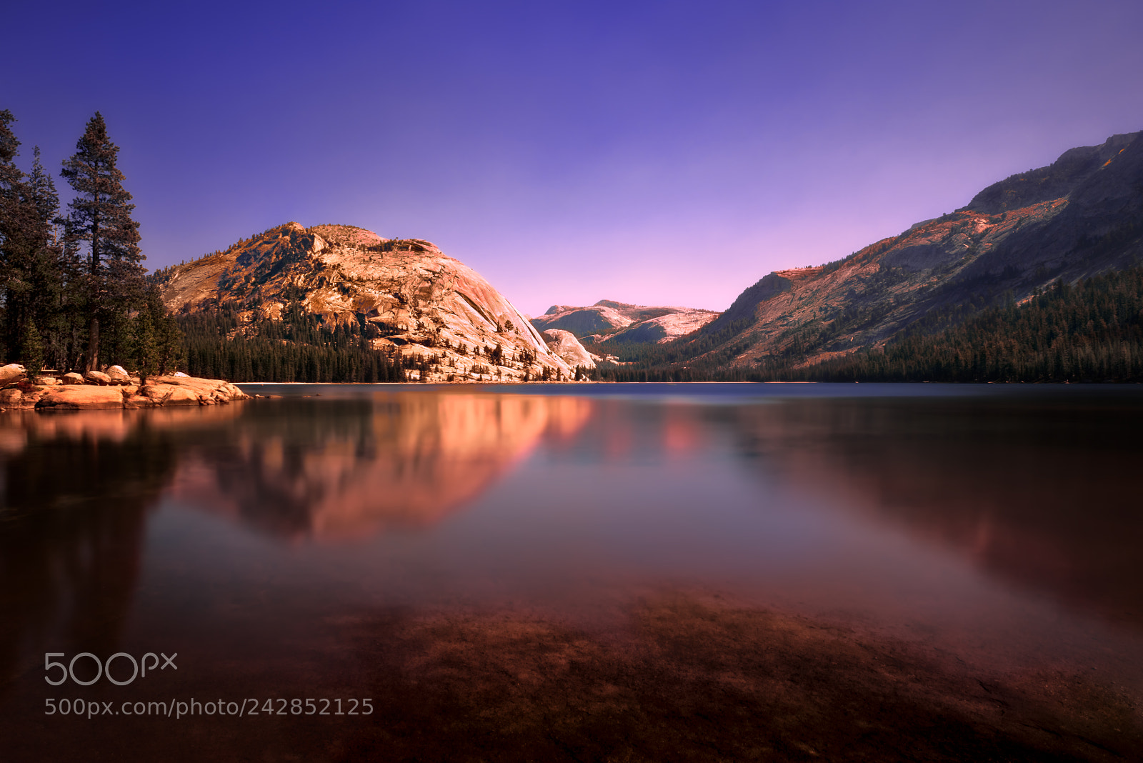 Nikon D810 sample photo. Yosemite national park photography