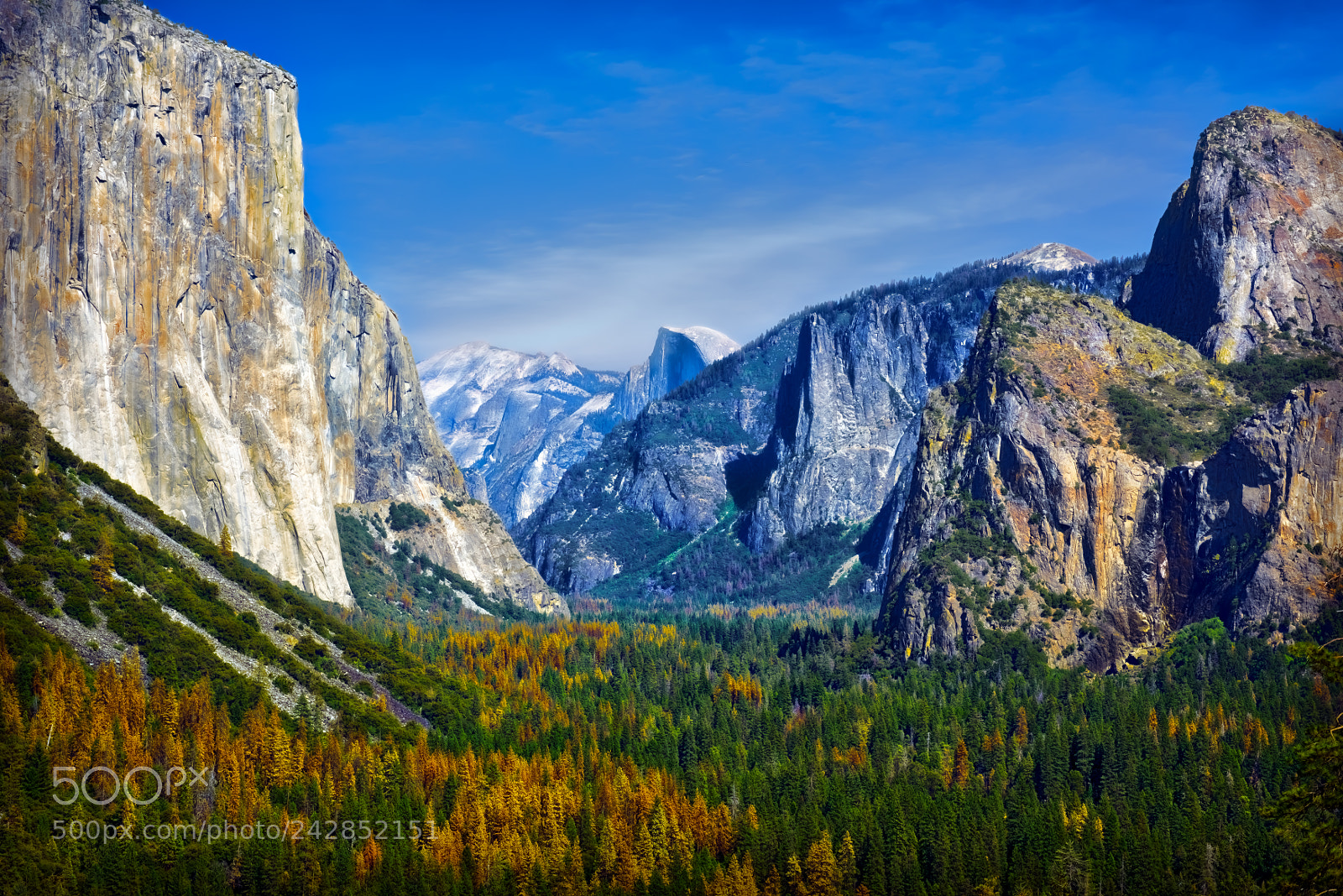 Nikon D810 sample photo. Yosemite national park photography