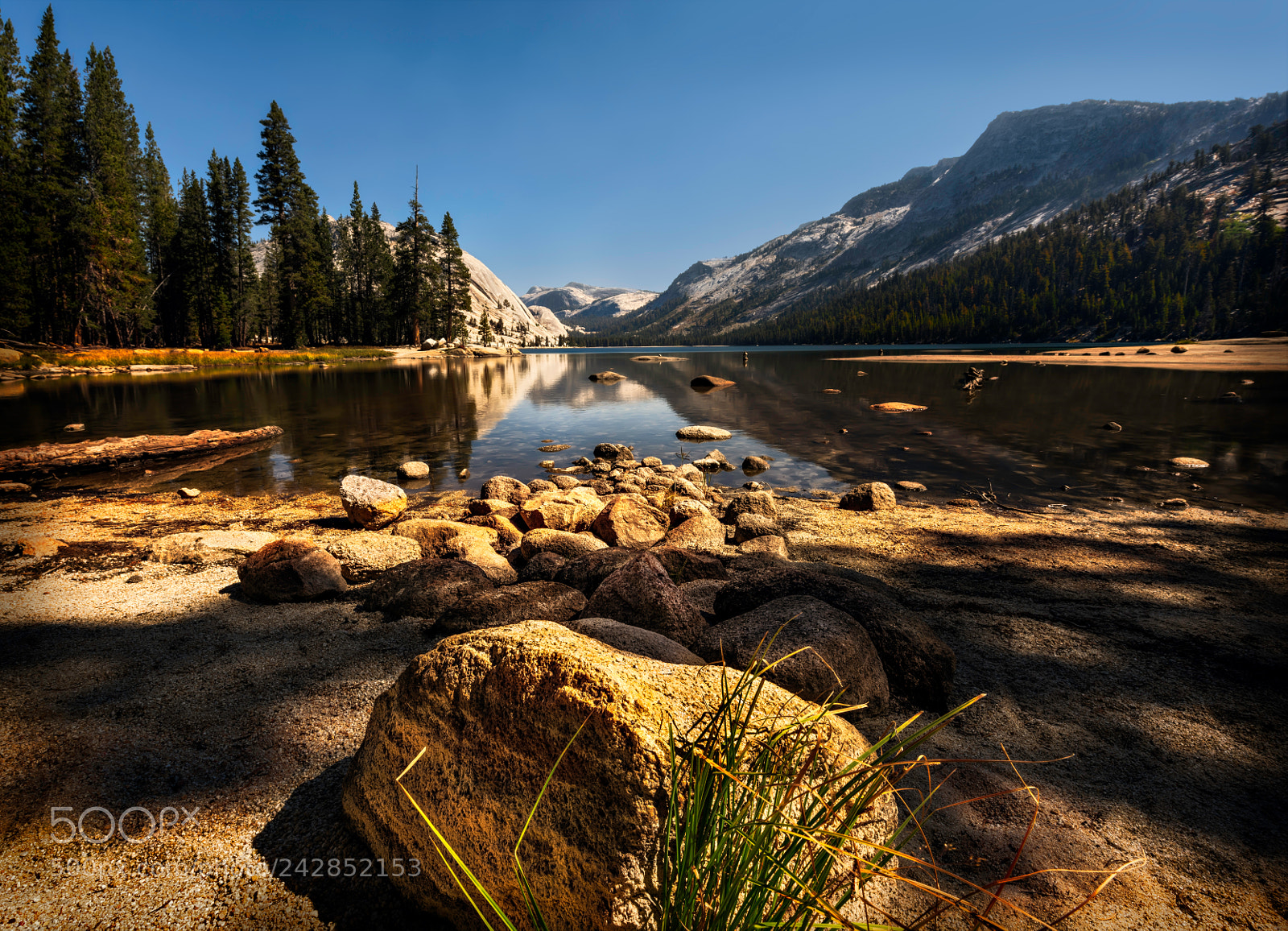 Nikon D810 sample photo. Yosemite national park photography