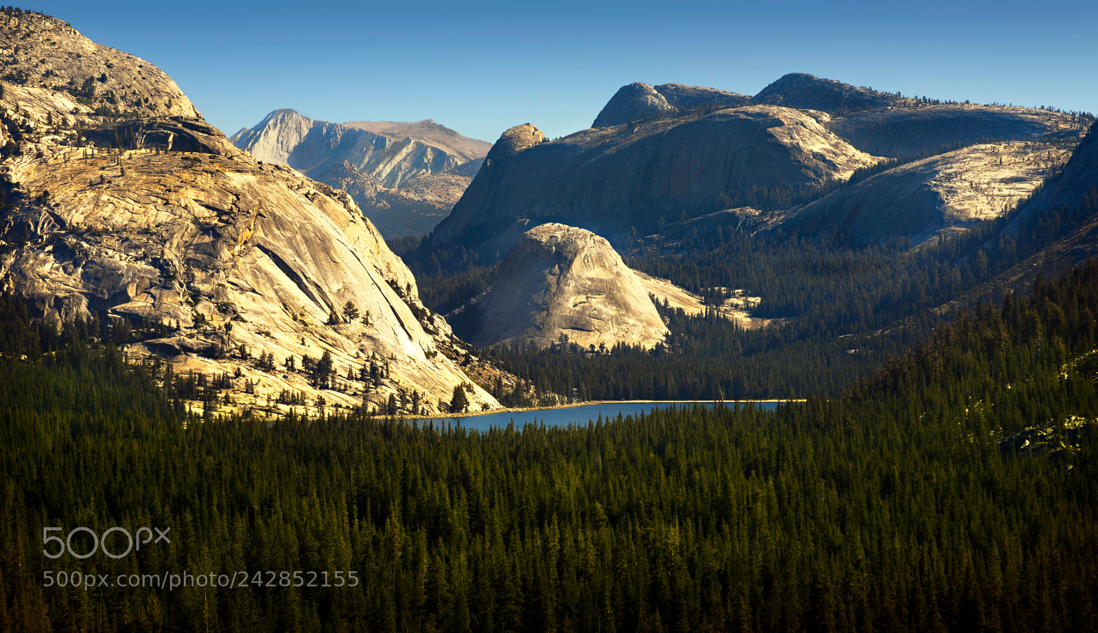 Nikon D810 sample photo. Yosemite national park photography