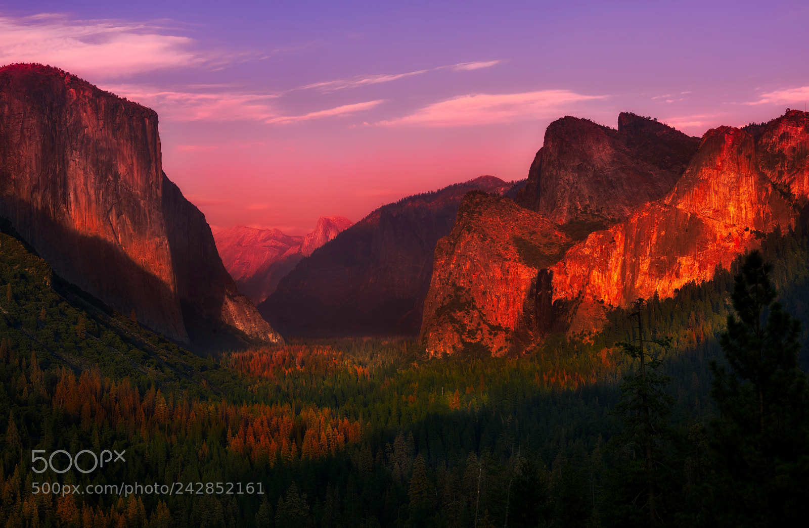 Nikon D810 sample photo. Yosemite national park photography