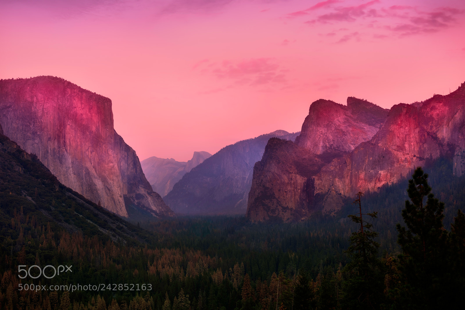 Nikon D810 sample photo. Yosemite national park photography