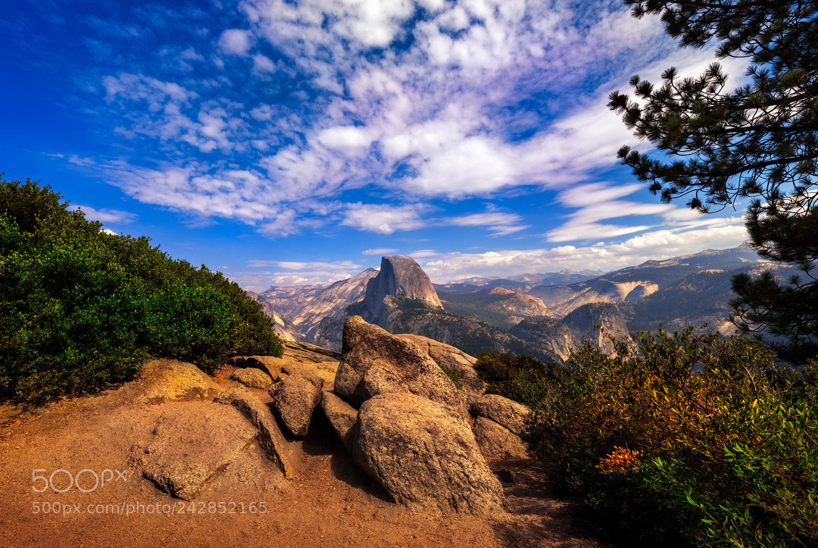 Nikon D810 sample photo. Yosemite national park photography