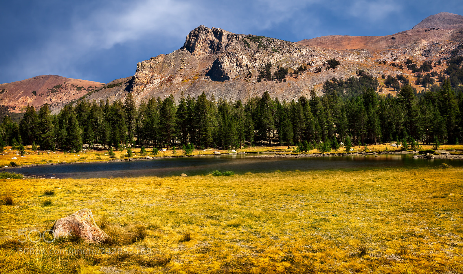Nikon D810 sample photo. Yosemite national park photography