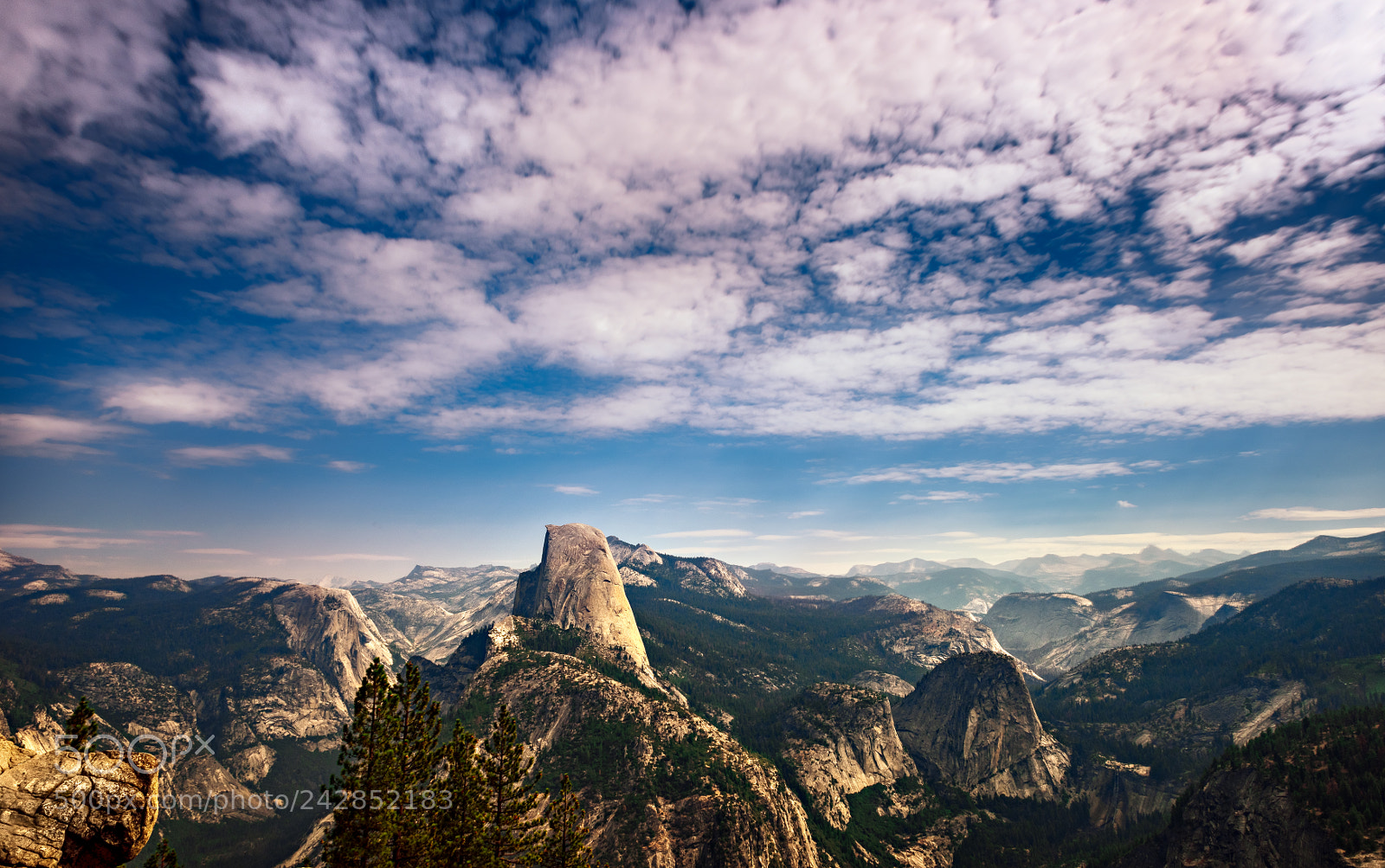 Nikon D810 sample photo. Yosemite national park photography