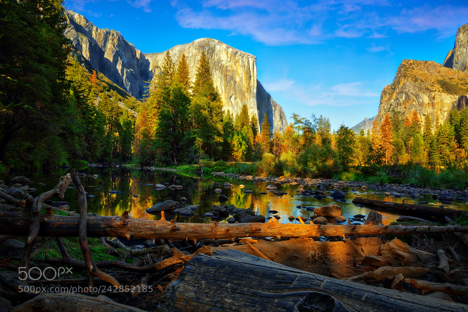 Nikon D810 sample photo. Yosemite national park photography