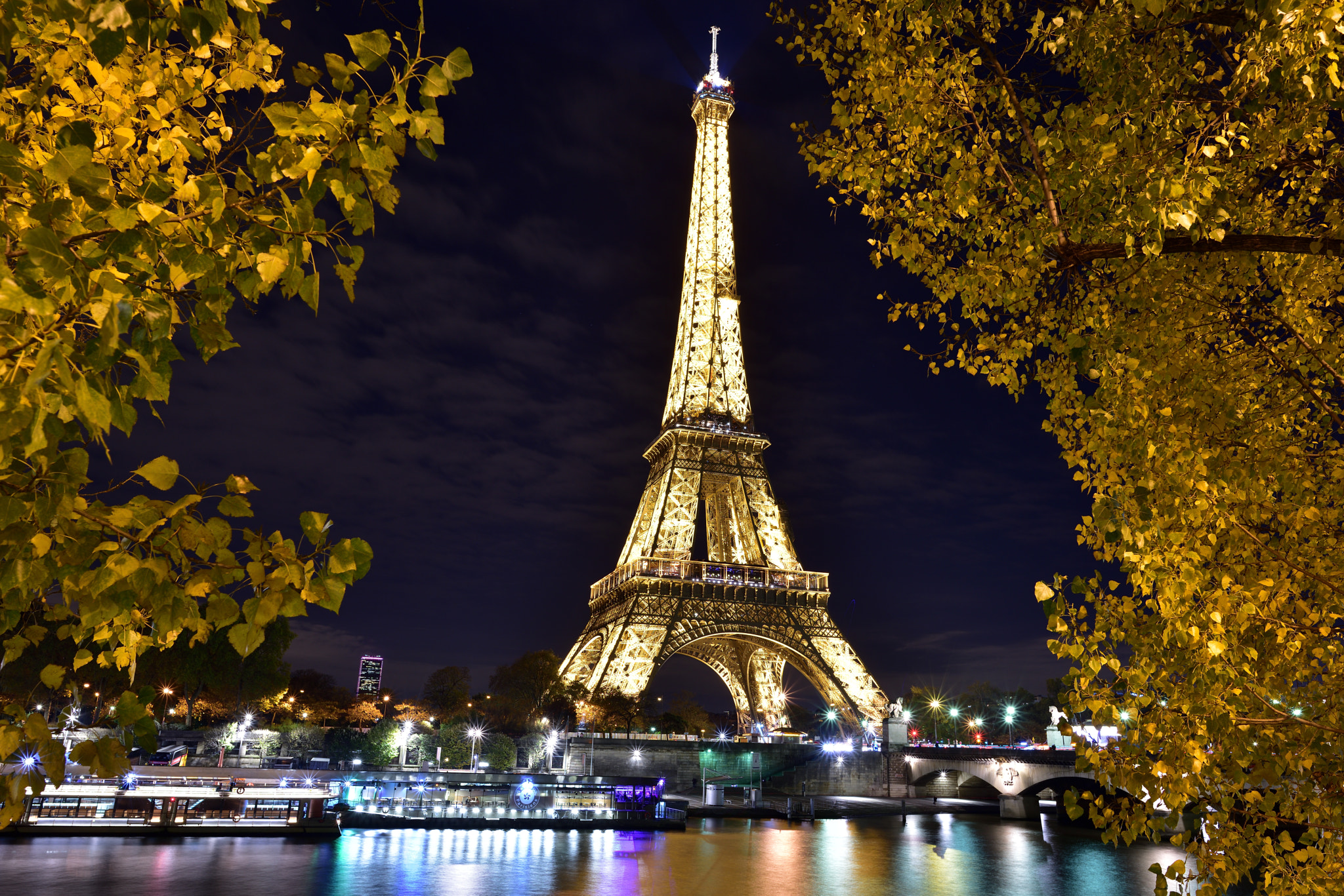 Nikon D810 sample photo. Eiffel tower photography