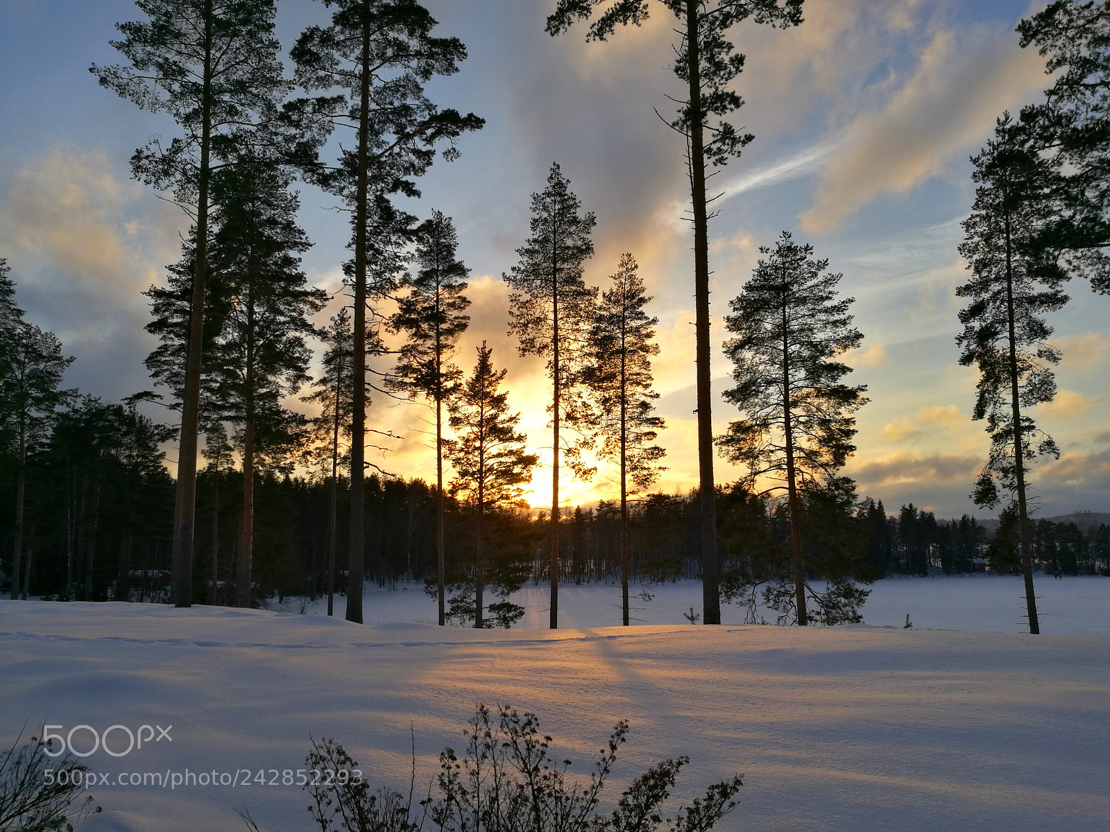 HUAWEI Honor 8 sample photo. Little pit sun photography
