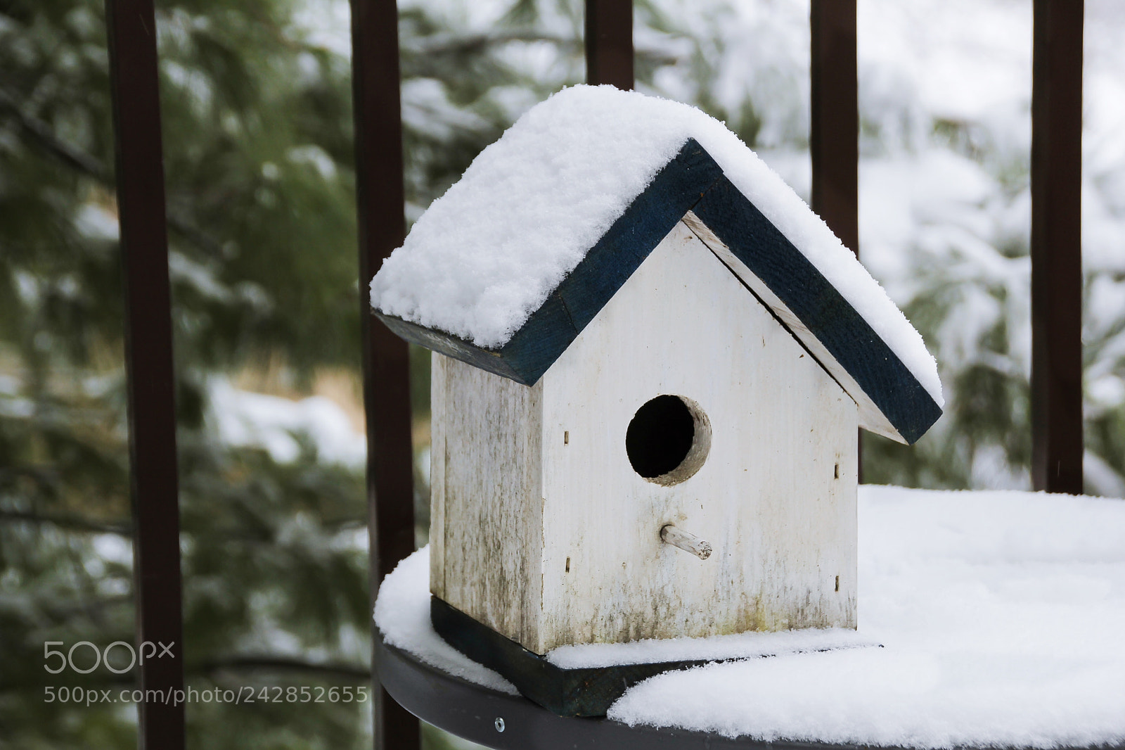 Canon EOS 60D sample photo. Snow covered bird house photography