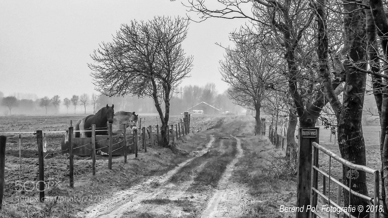 Panasonic Lumix DMC-ZS50 (Lumix DMC-TZ70) sample photo. Oude landweg photography