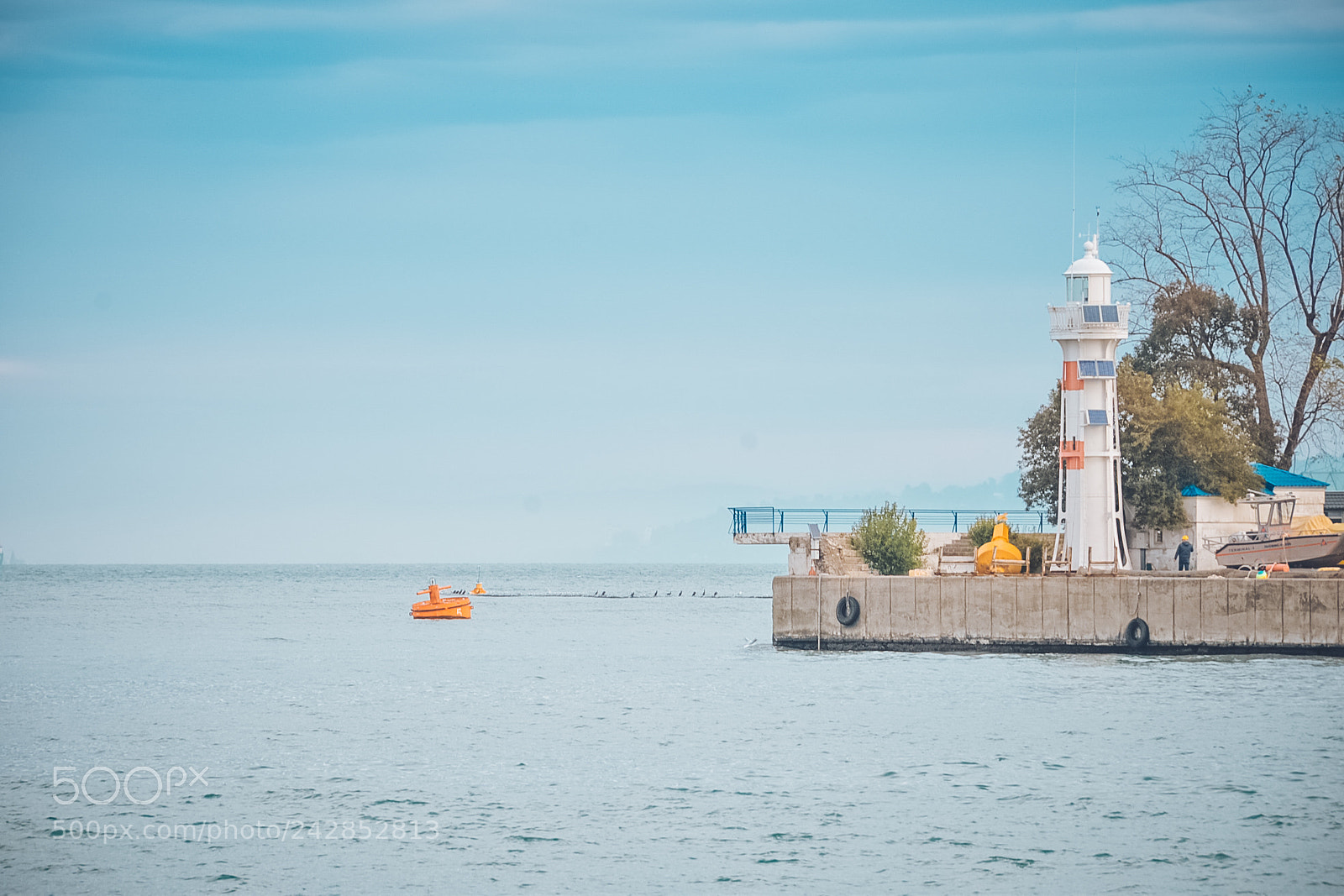 Nikon D610 sample photo. Batumi photography