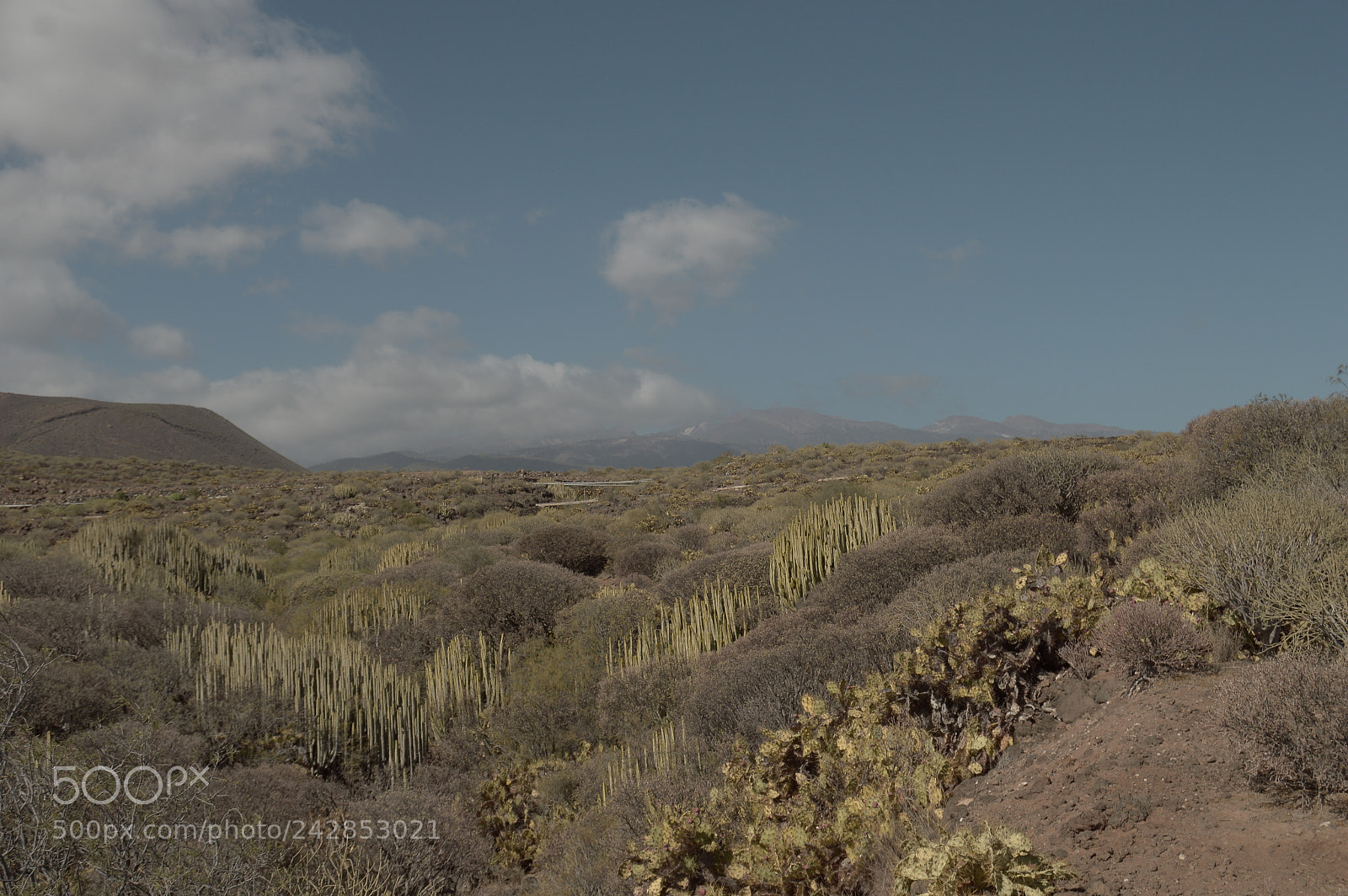 Nikon D3200 sample photo. Teide hides photography