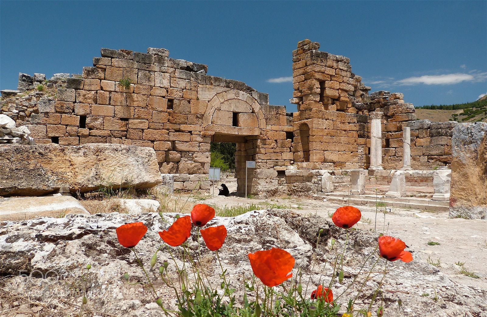 Panasonic Lumix DMC-FZ47 (Lumix DMC-FZ48) sample photo. Red poppies and ruins photography