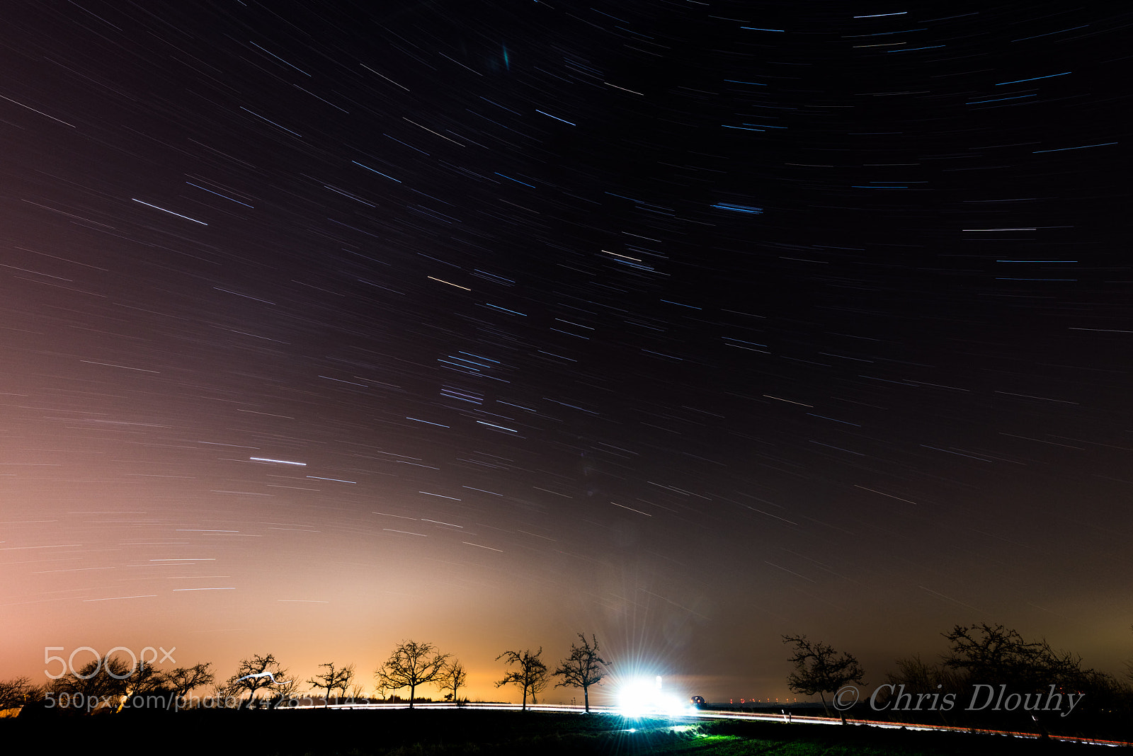 Nikon D810 sample photo. Star trails photography