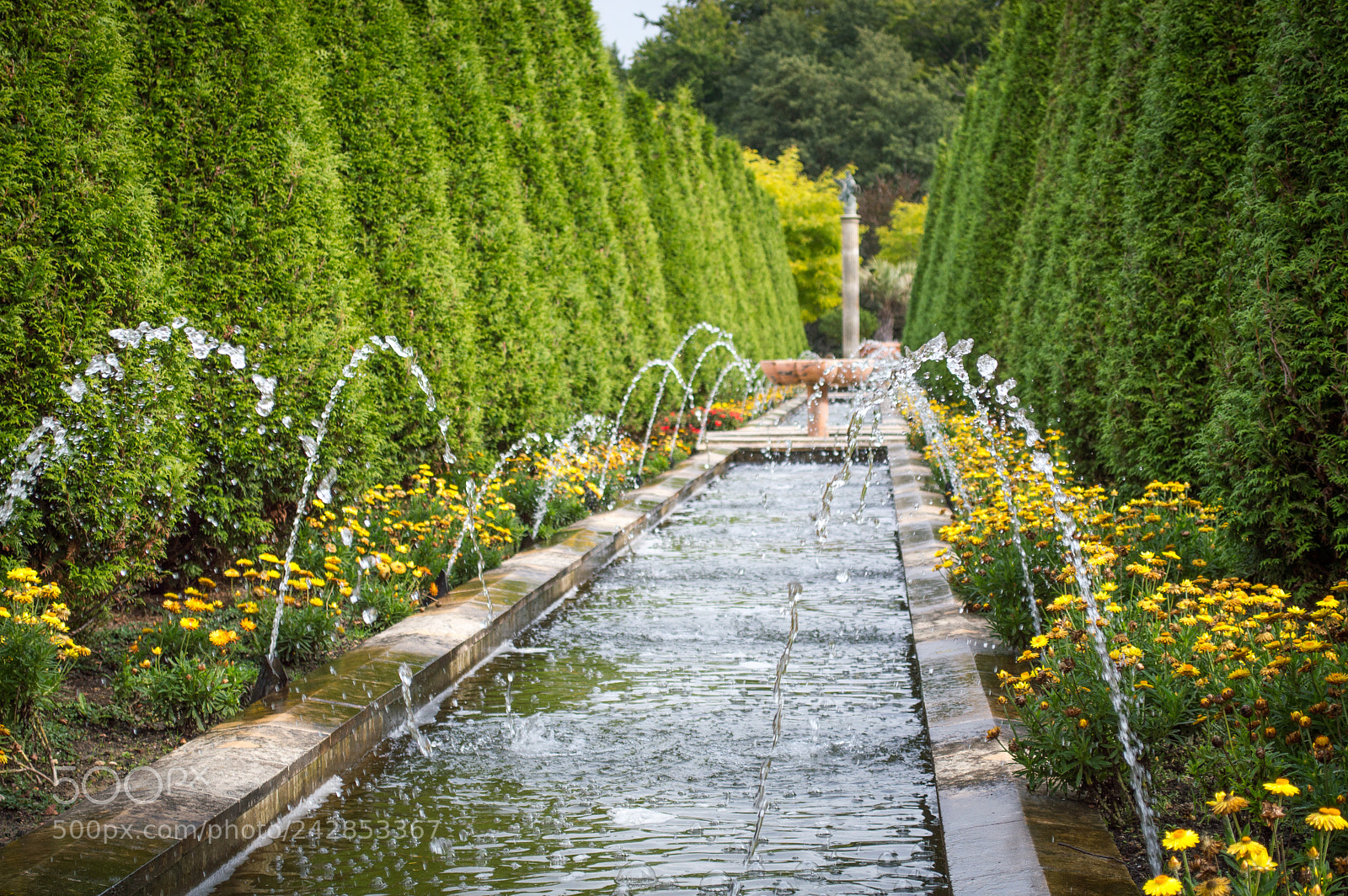 Nikon D3200 sample photo. Garden photography