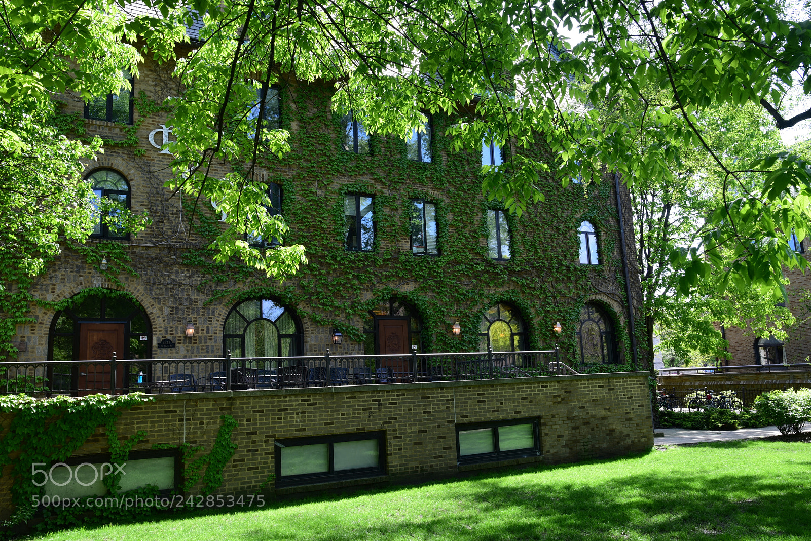 Nikon AF-S Nikkor 24-120mm F4G ED VR sample photo. The green building photography