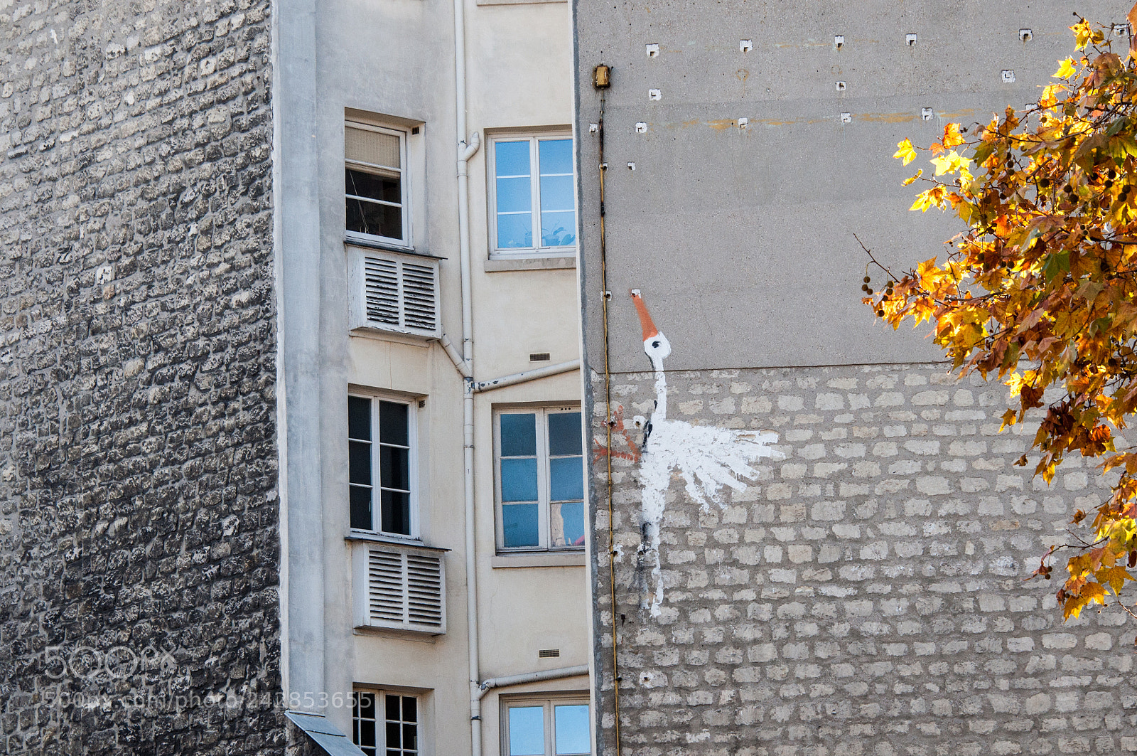 Nikon D90 sample photo. City stork photography
