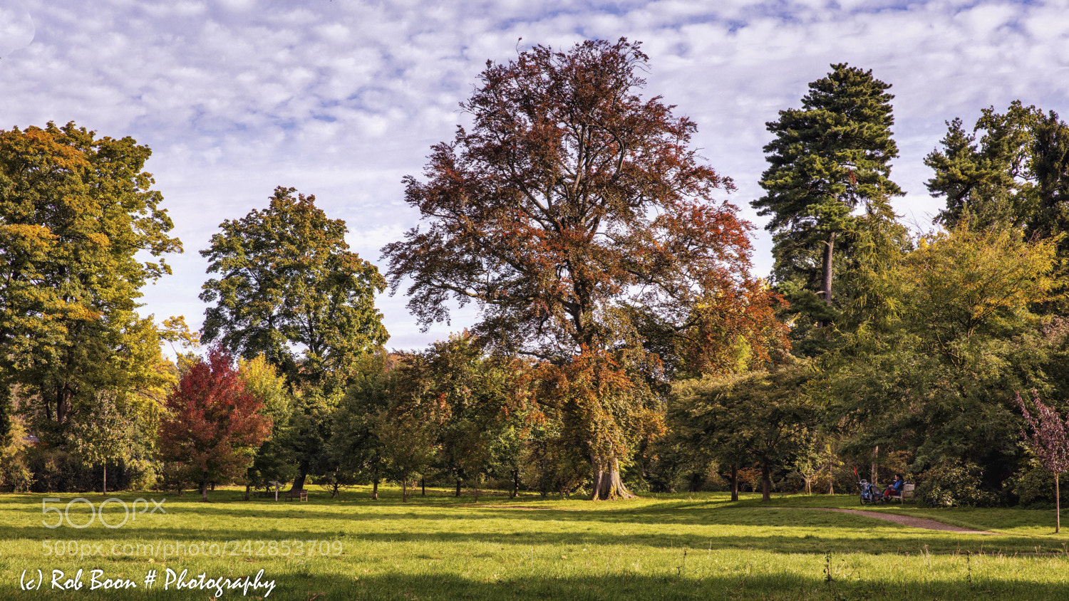 Canon EOS 5DS sample photo. Autumn colours @ vaeshartelt photography