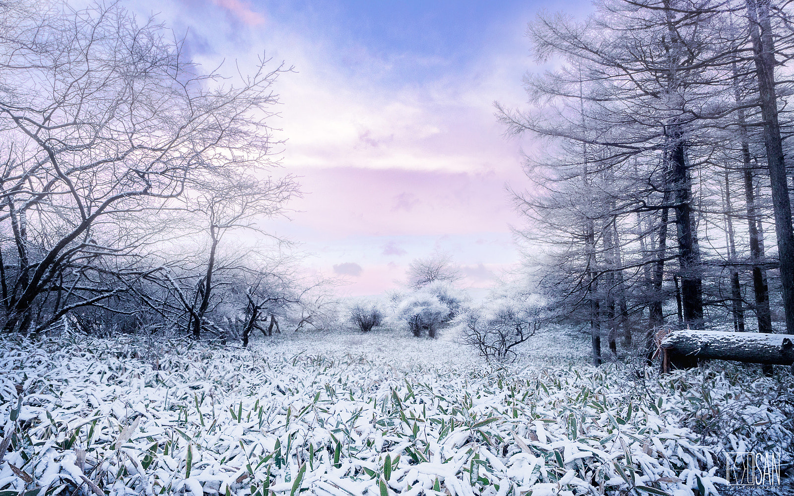 Olympus OM-D E-M1 Mark II sample photo. Morning glow, winter. photography