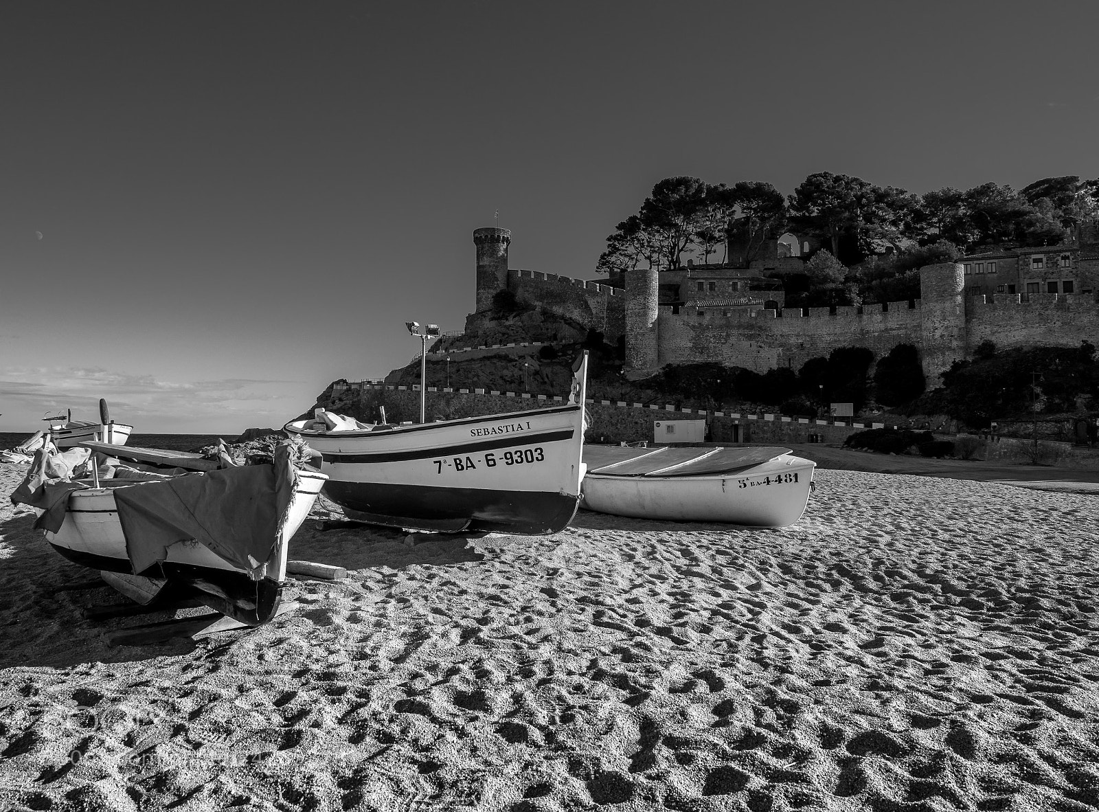 Olympus OM-D E-M5 II sample photo. Beech and boats photography