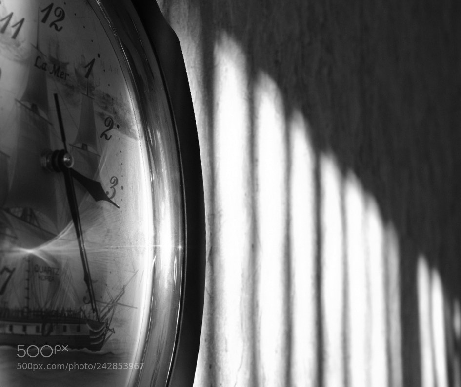 Fujifilm X100F sample photo. Sunny hour photography