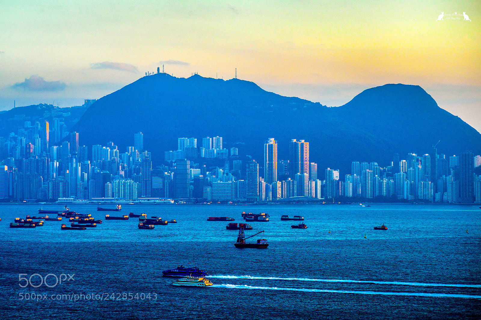 Nikon D800E sample photo. Harbour photography