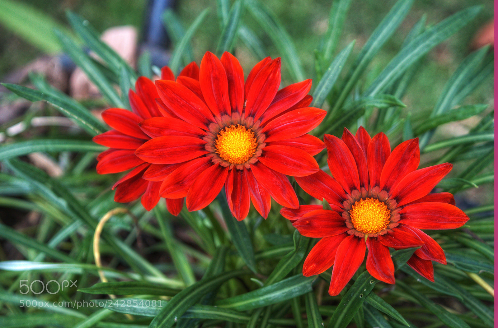 Nikon D3200 sample photo. Untitled photography
