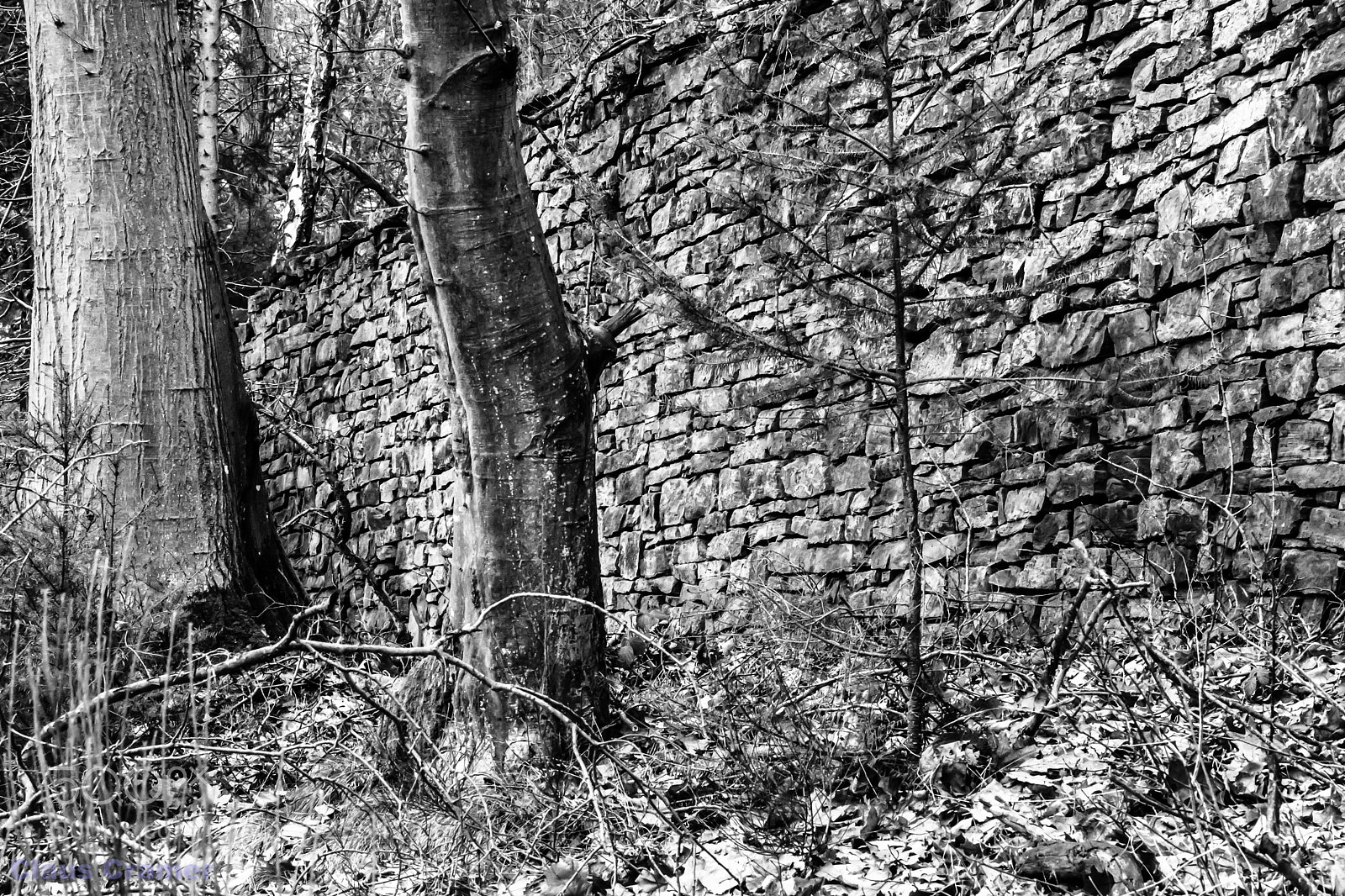 Canon EOS 7D Mark II sample photo. Natural stone wall photography