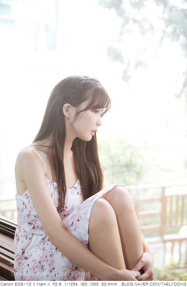Canon EOS-1D X Mark II sample photo. Tld photography
