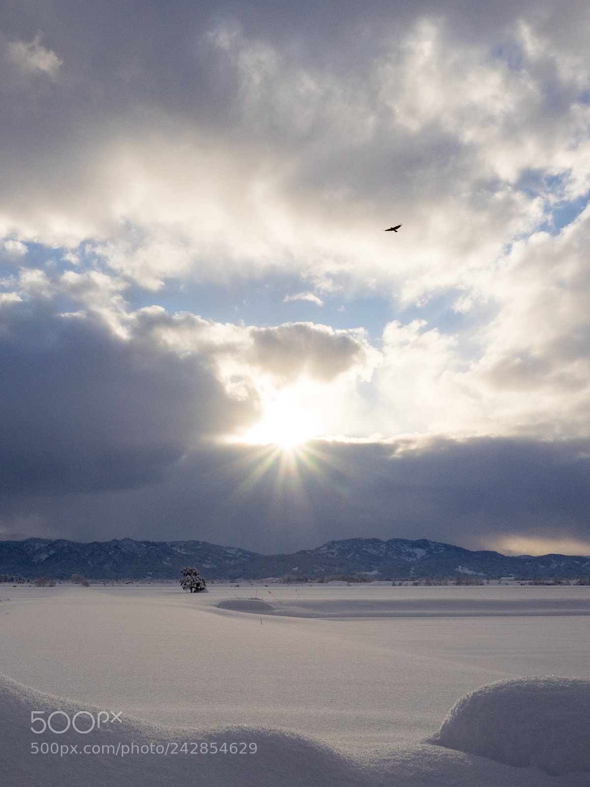 Olympus OM-D E-M1 sample photo. Sunrise photography