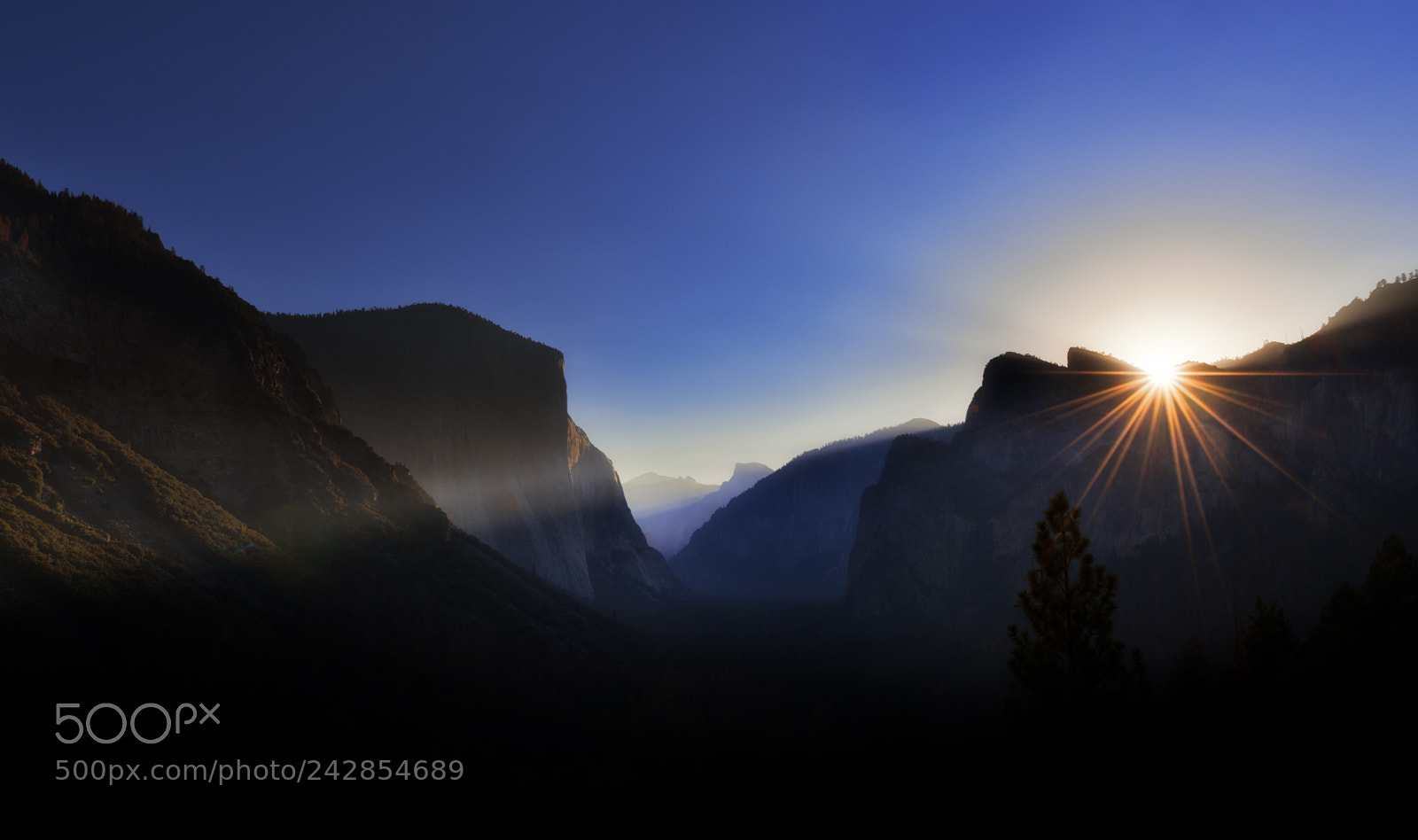 Nikon D810 sample photo. Yosemite national park photography