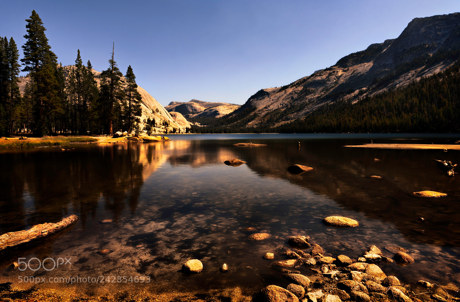 Nikon D810 sample photo. Yosemite national park photography