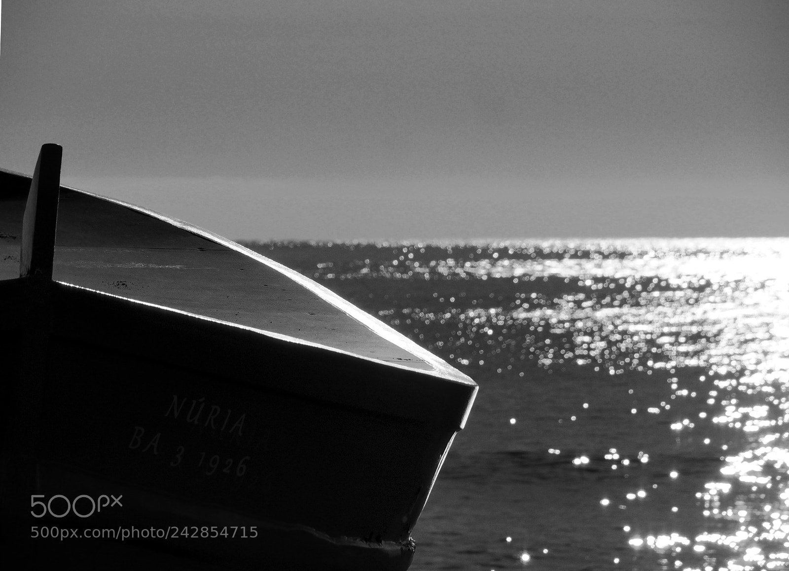 Olympus OM-D E-M5 II sample photo. Calma photography
