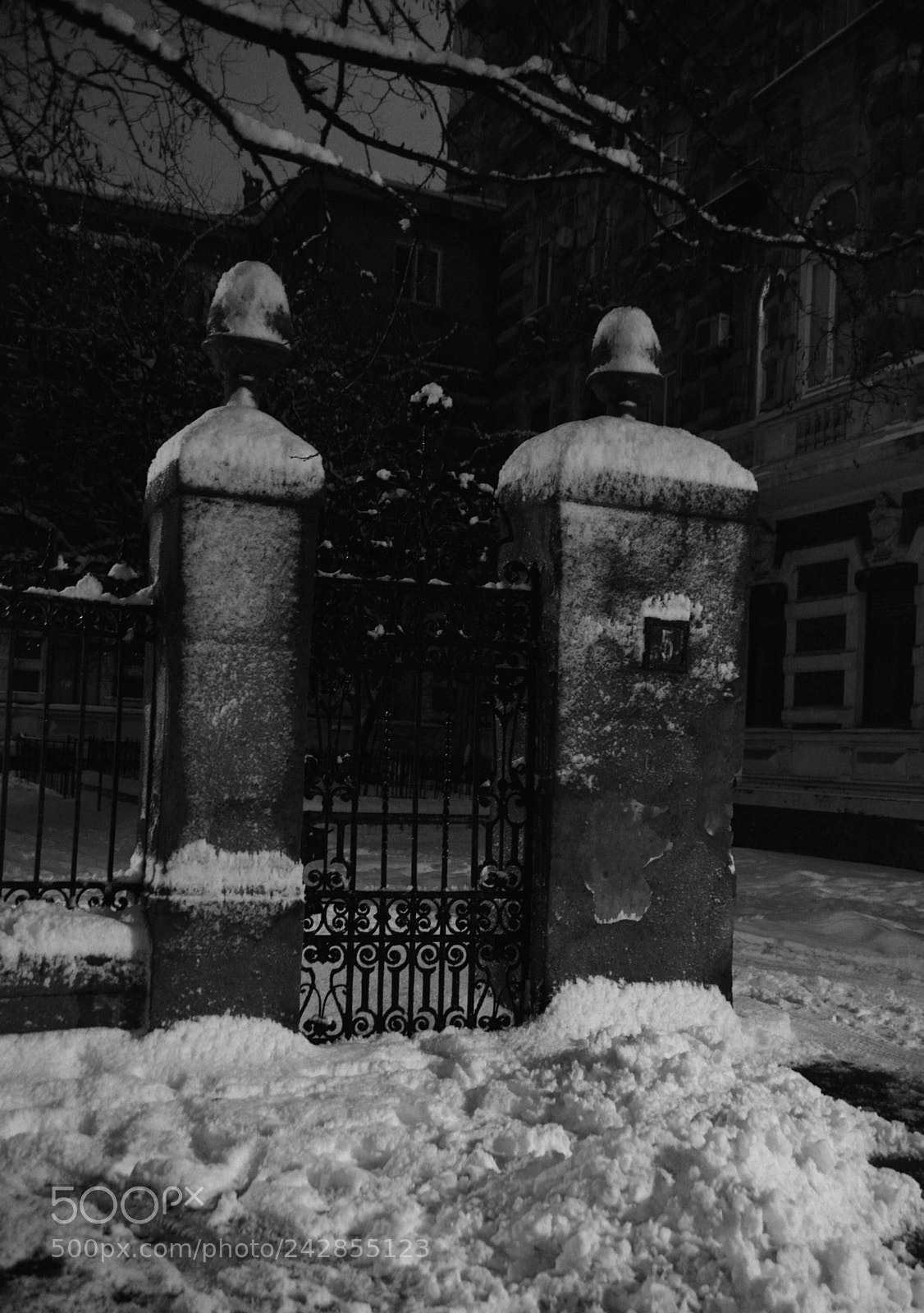 Nikon D600 sample photo. Untitled photography