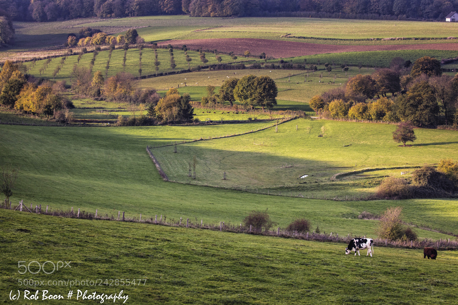 Canon EOS 5DS sample photo. Fields @ vijlen photography