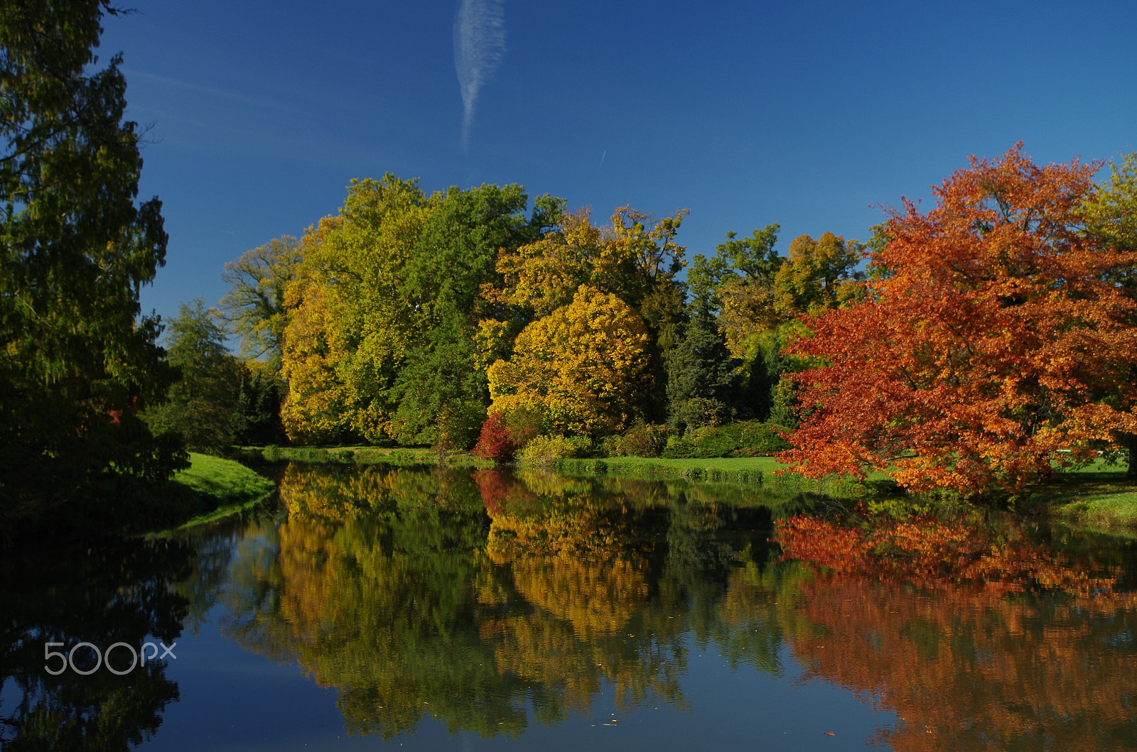 Pentax K-50 sample photo. Reflection of beauty photography